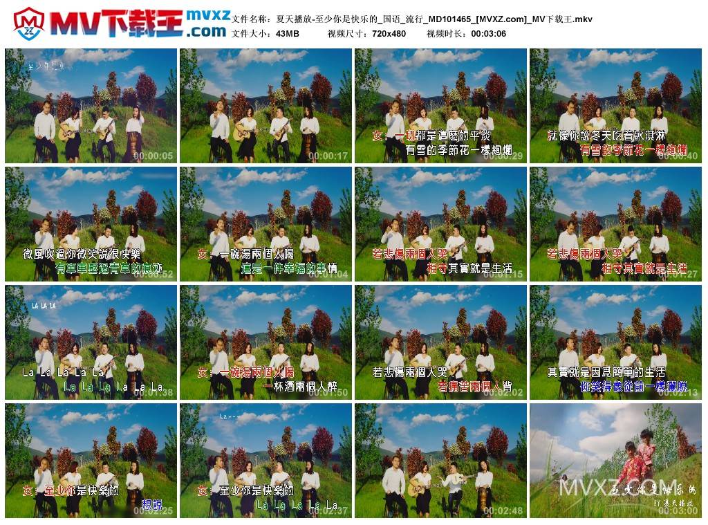 夏天播放-至少你是快乐的_国语_流行_MD101465